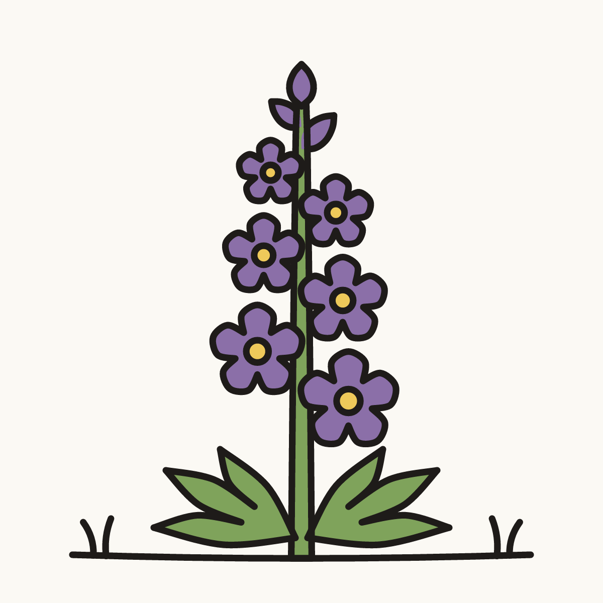 Finished drawing of a larkspur
