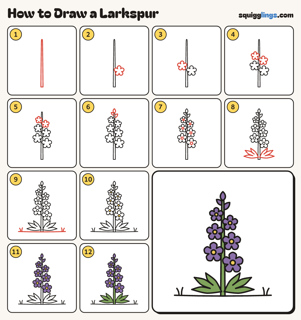 How to Draw a Larkspur step by step: all 12 steps in one picture