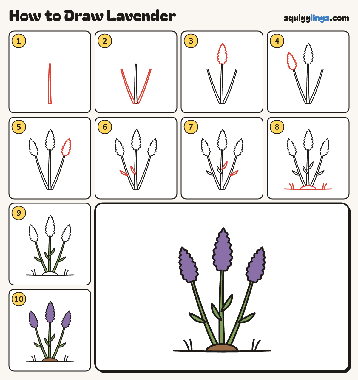 How to Draw Lavender step by step: all 10 steps in one picture