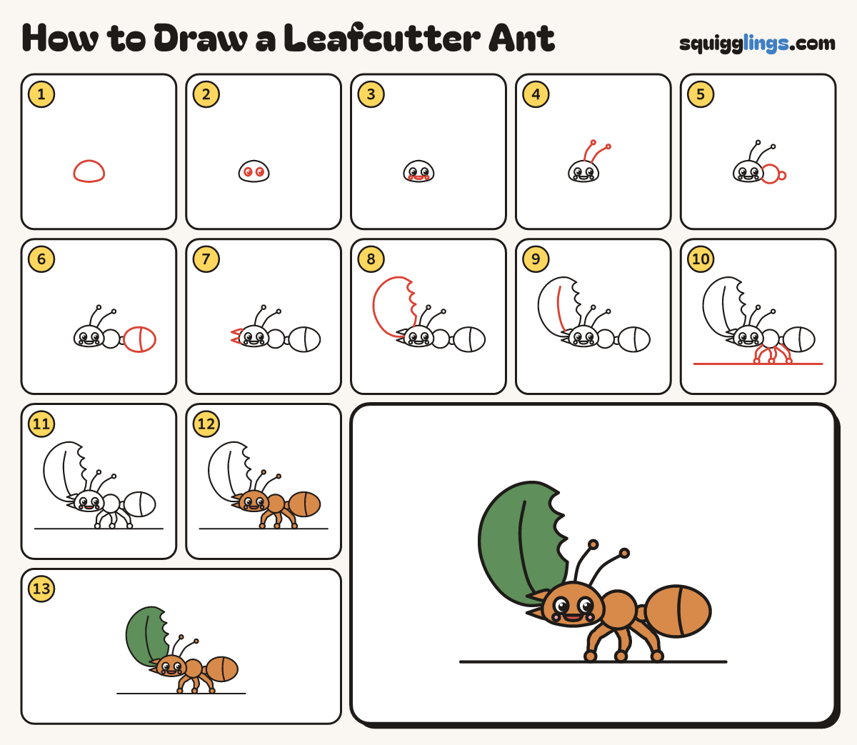 How to Draw a Leafcutter Ant step by step: all 13 steps in one picture