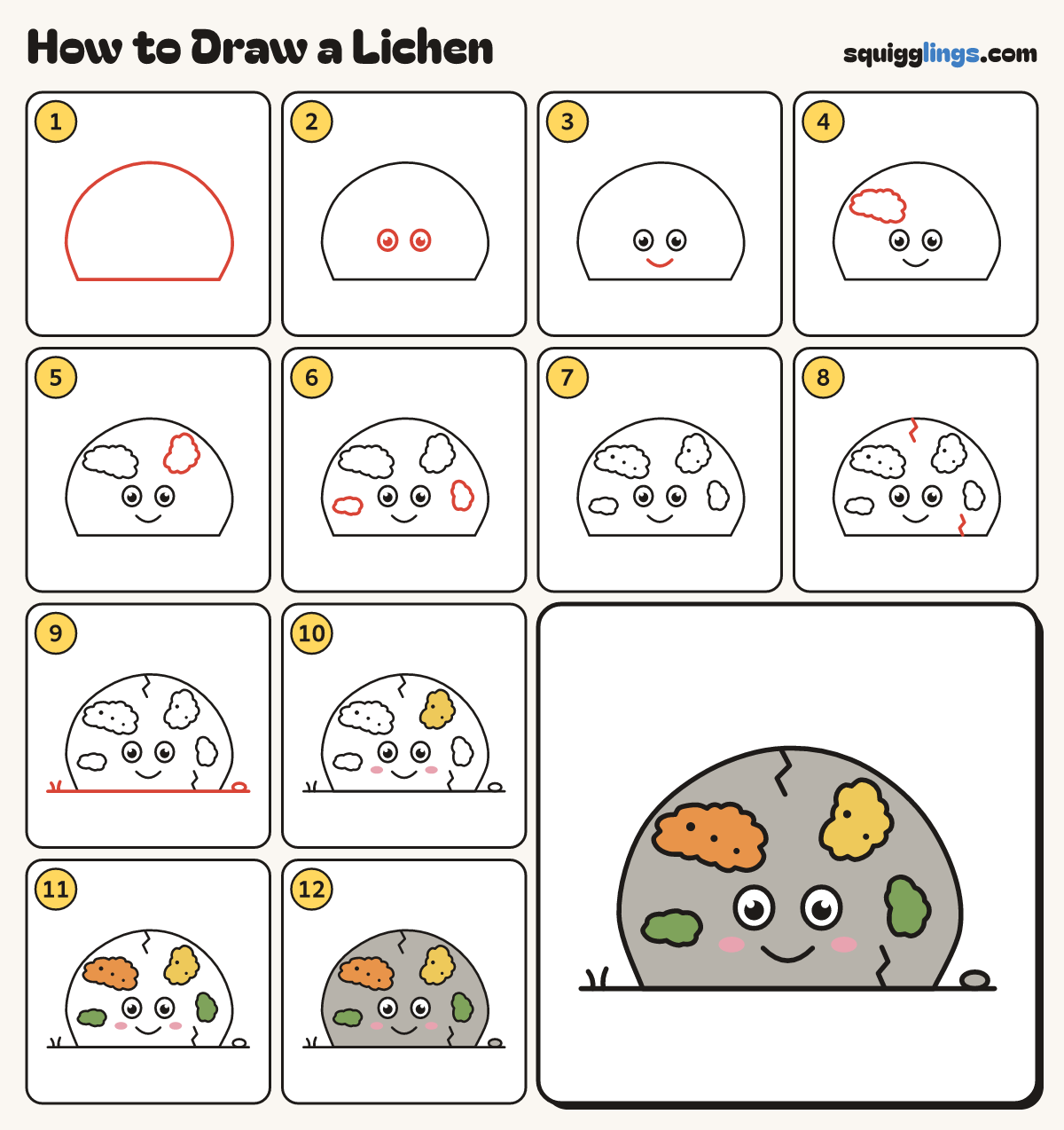 How to Draw a Lichen step by step: all 12 steps in one picture