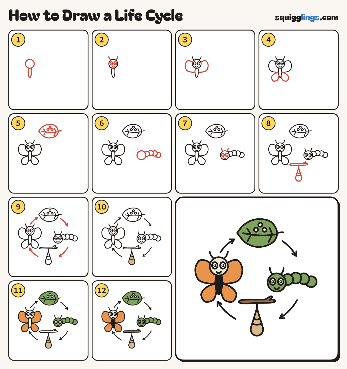 How to Draw a Life Cycle step by step: all 12 steps in one picture