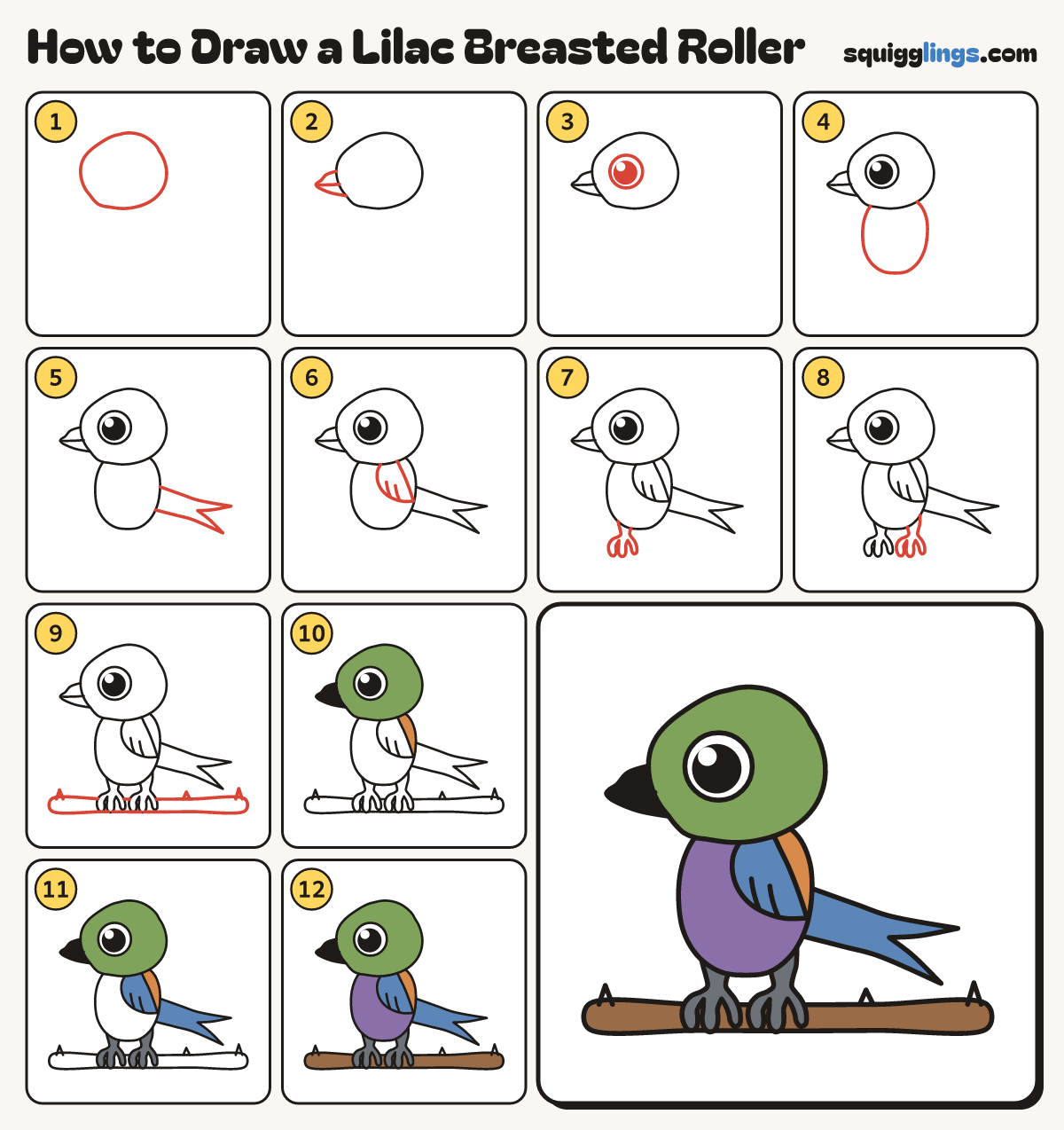 How to Draw a Lilac Breasted Roller step by step: all 12 steps in one picture