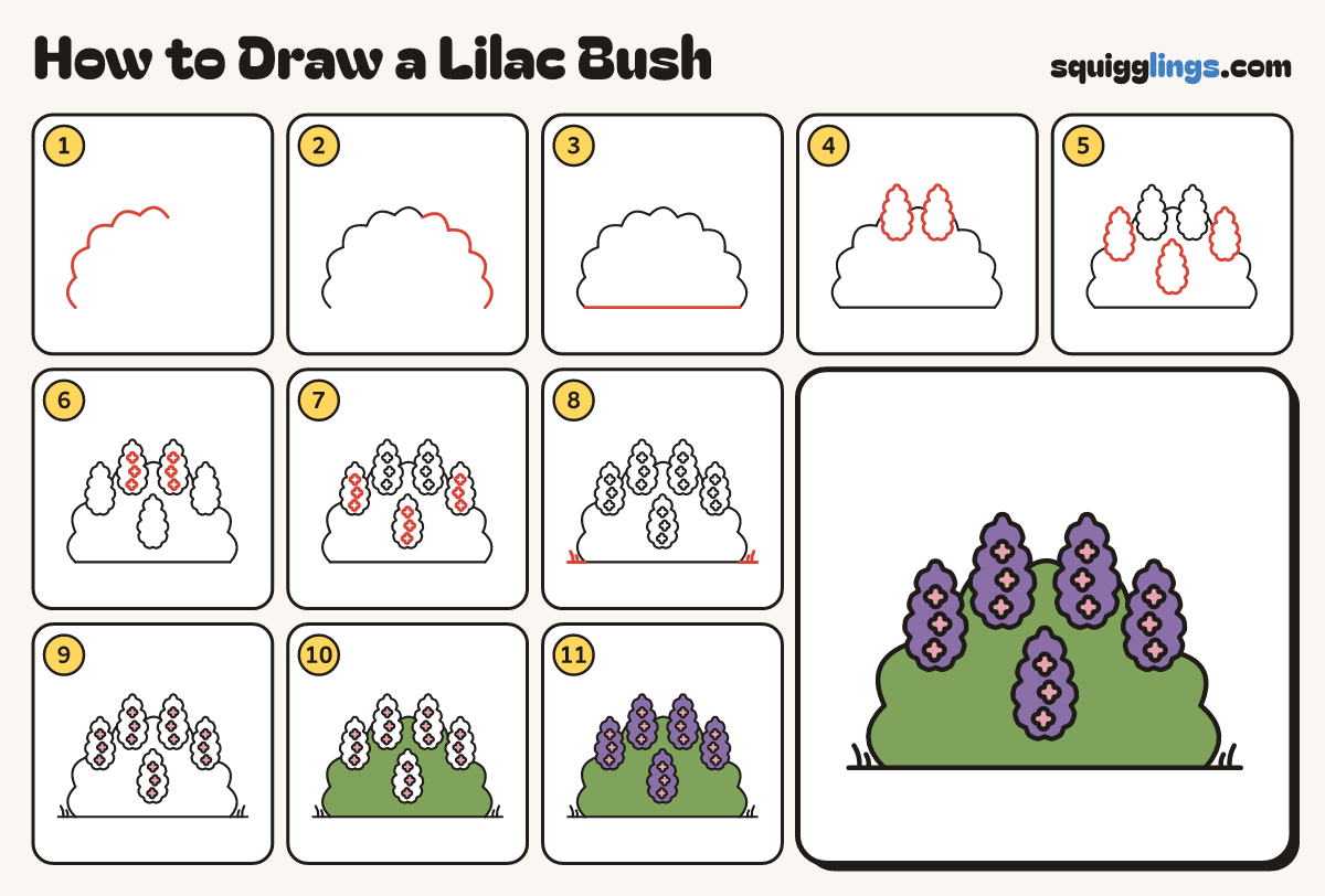 How to Draw a Lilac Bush step by step: all 11 steps in one picture