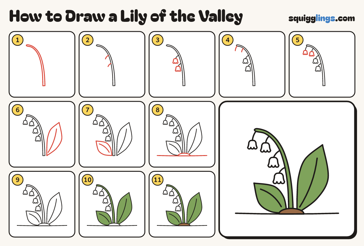How to Draw a Lily of the Valley step by step: all 11 steps in one picture