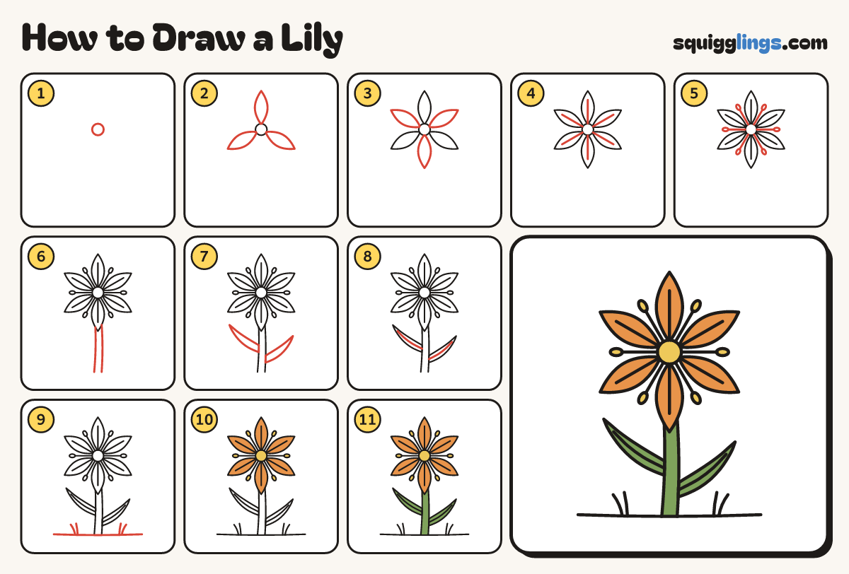 How to Draw a Lily step by step: all 11 steps in one picture