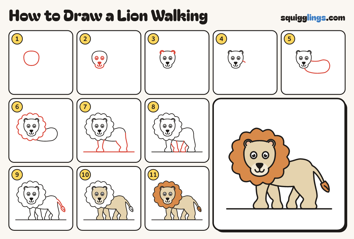 How to Draw a Lion Walking step by step: all 11 steps in one picture