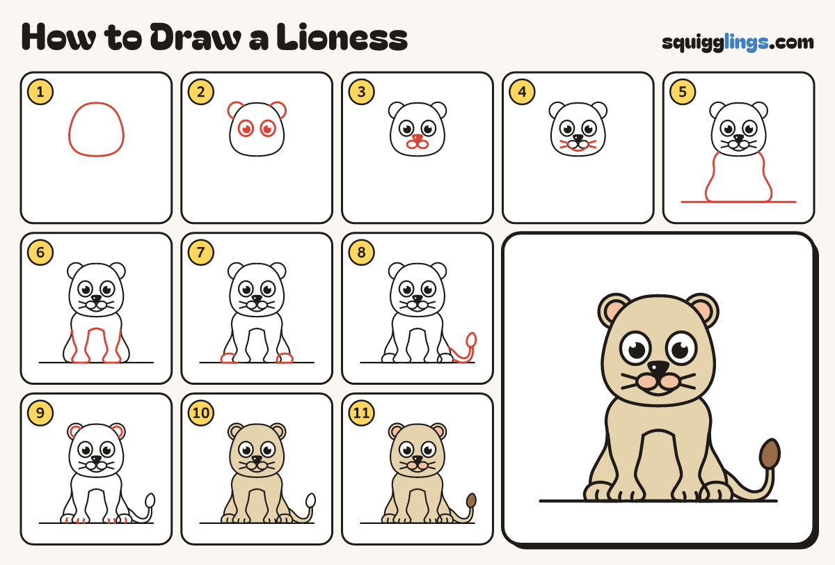 How to Draw a Lioness step by step: all 11 steps in one picture