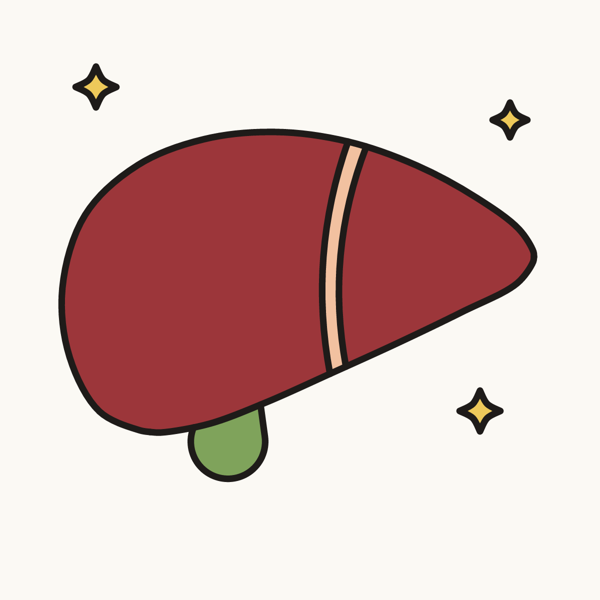 Finished drawing of a liver