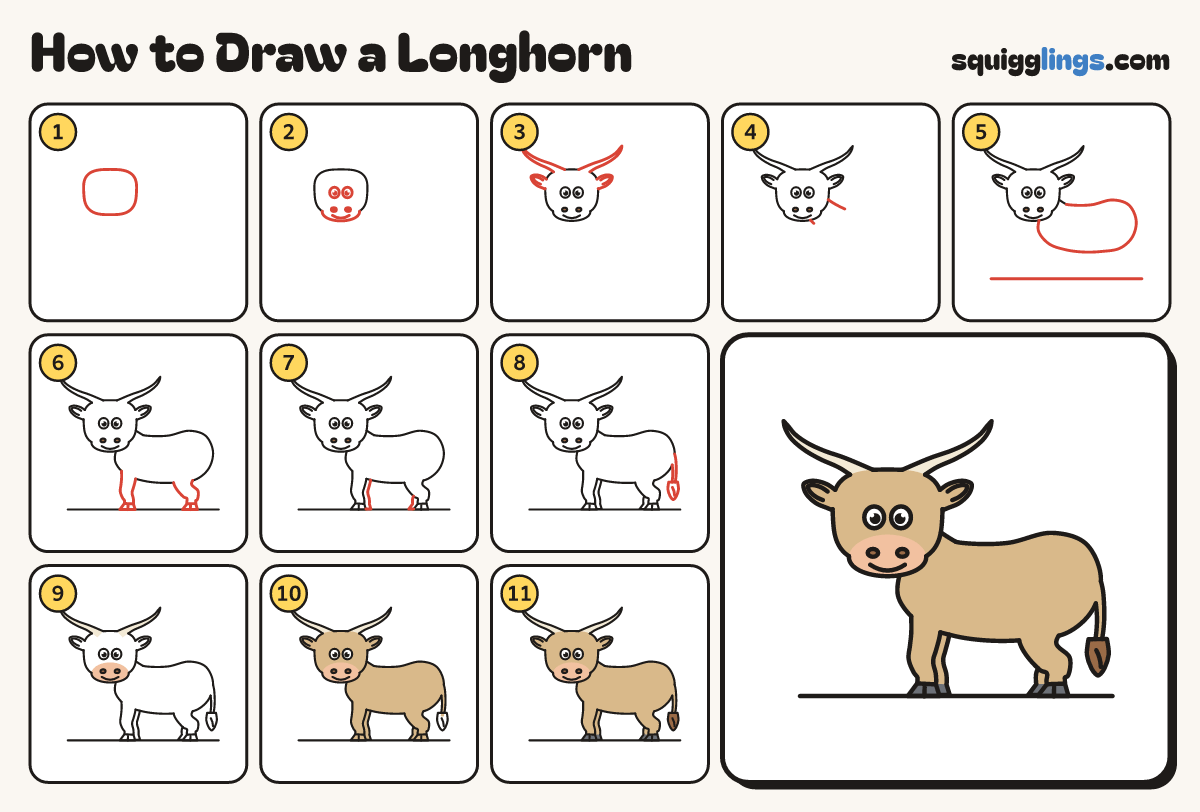 How to Draw a Longhorn step by step: all 11 steps in one picture