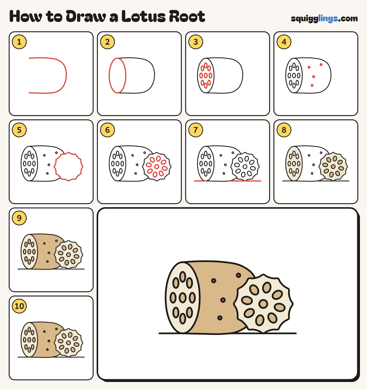 How to Draw a Lotus Root step by step: all 10 steps in one picture