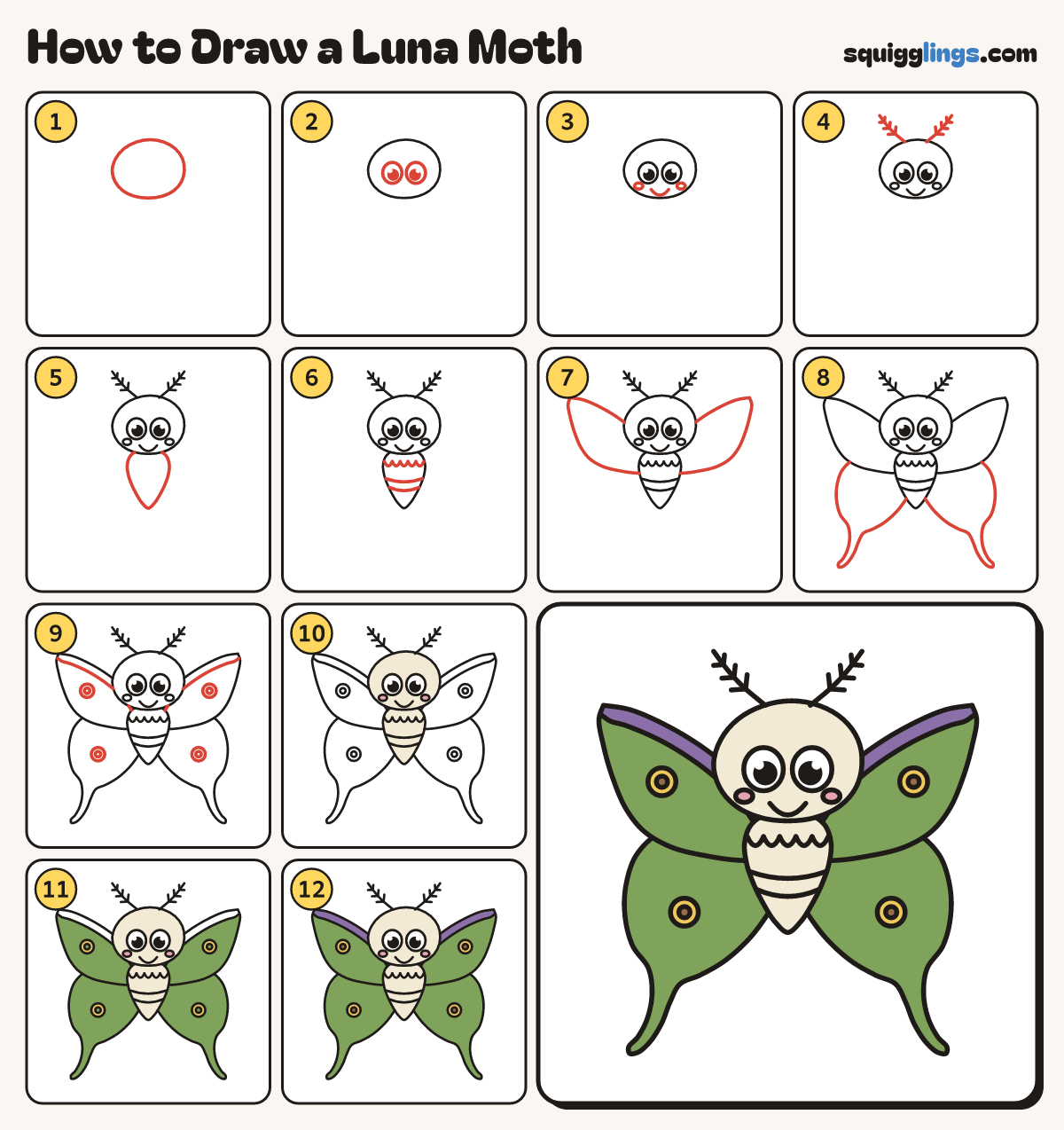 How to Draw a Luna Moth step by step: all 12 steps in one picture