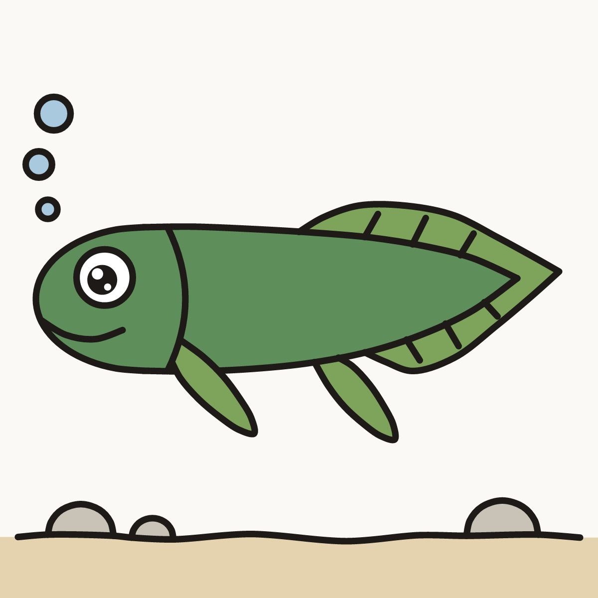 Finished drawing of a lungfish