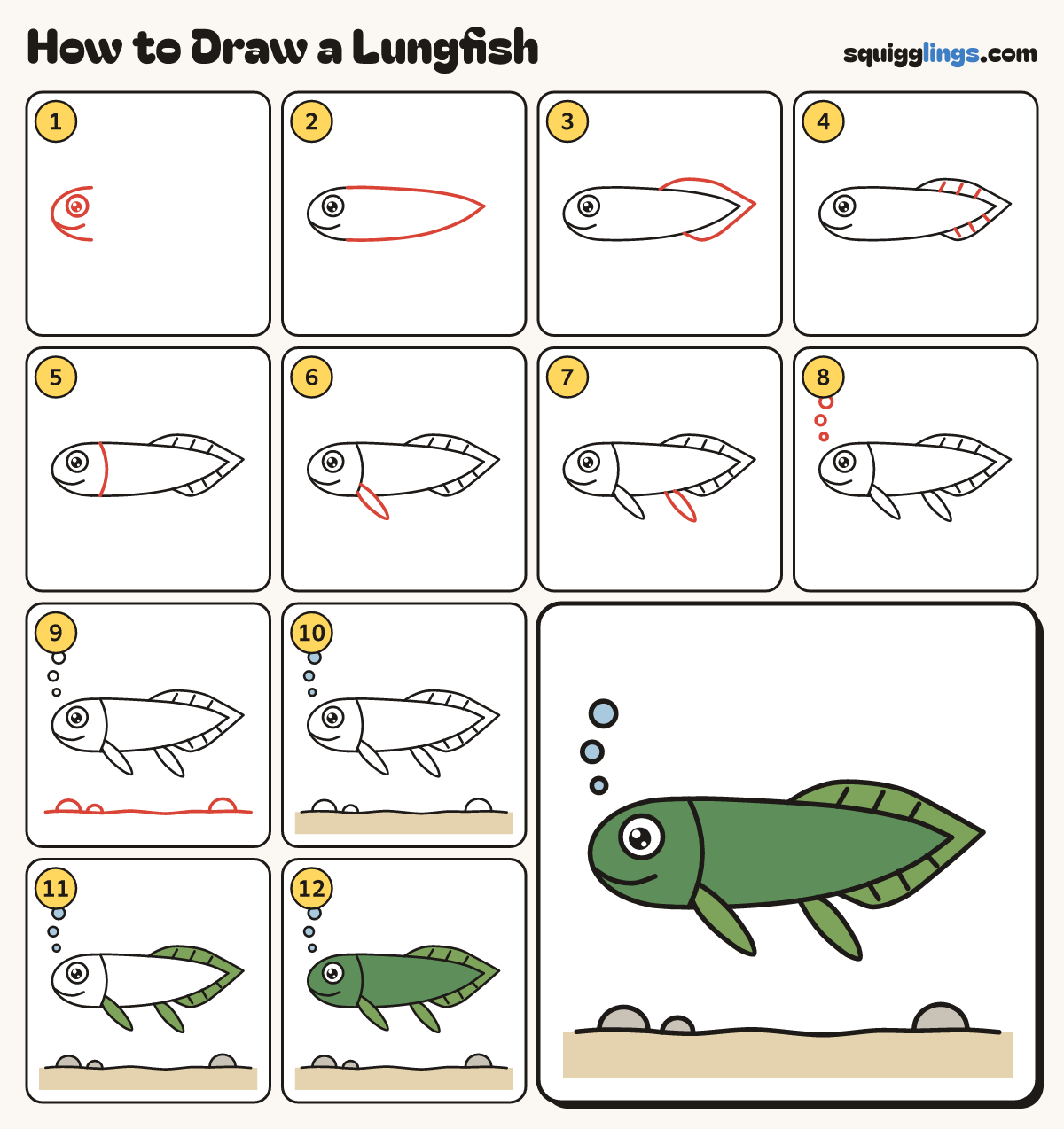 How to Draw a Lungfish step by step: all 12 steps in one picture