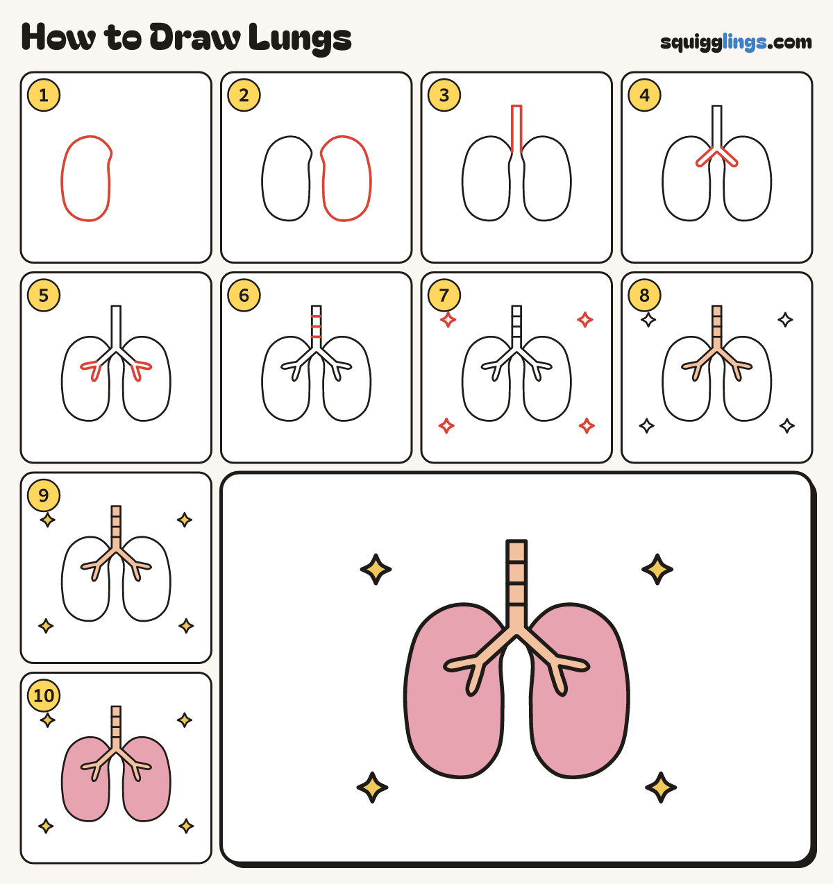 How to Draw Lungs step by step: all 10 steps in one picture