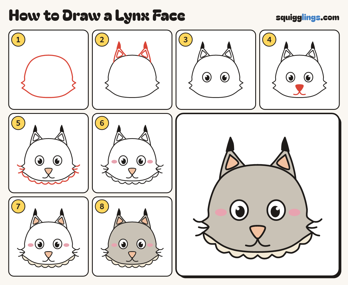 How to Draw a Lynx Face step by step: all 8 steps in one picture