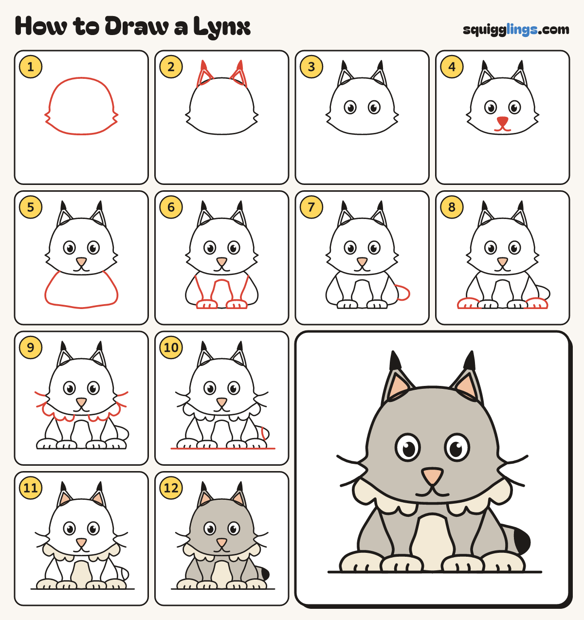 How to Draw a Lynx step by step: all 12 steps in one picture