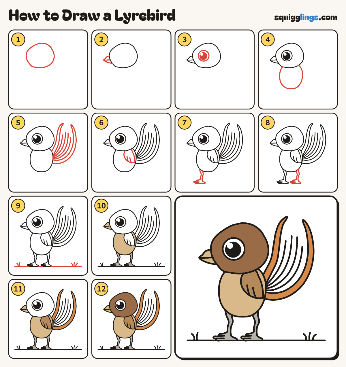 How to Draw a Lyrebird step by step: all 12 steps in one picture