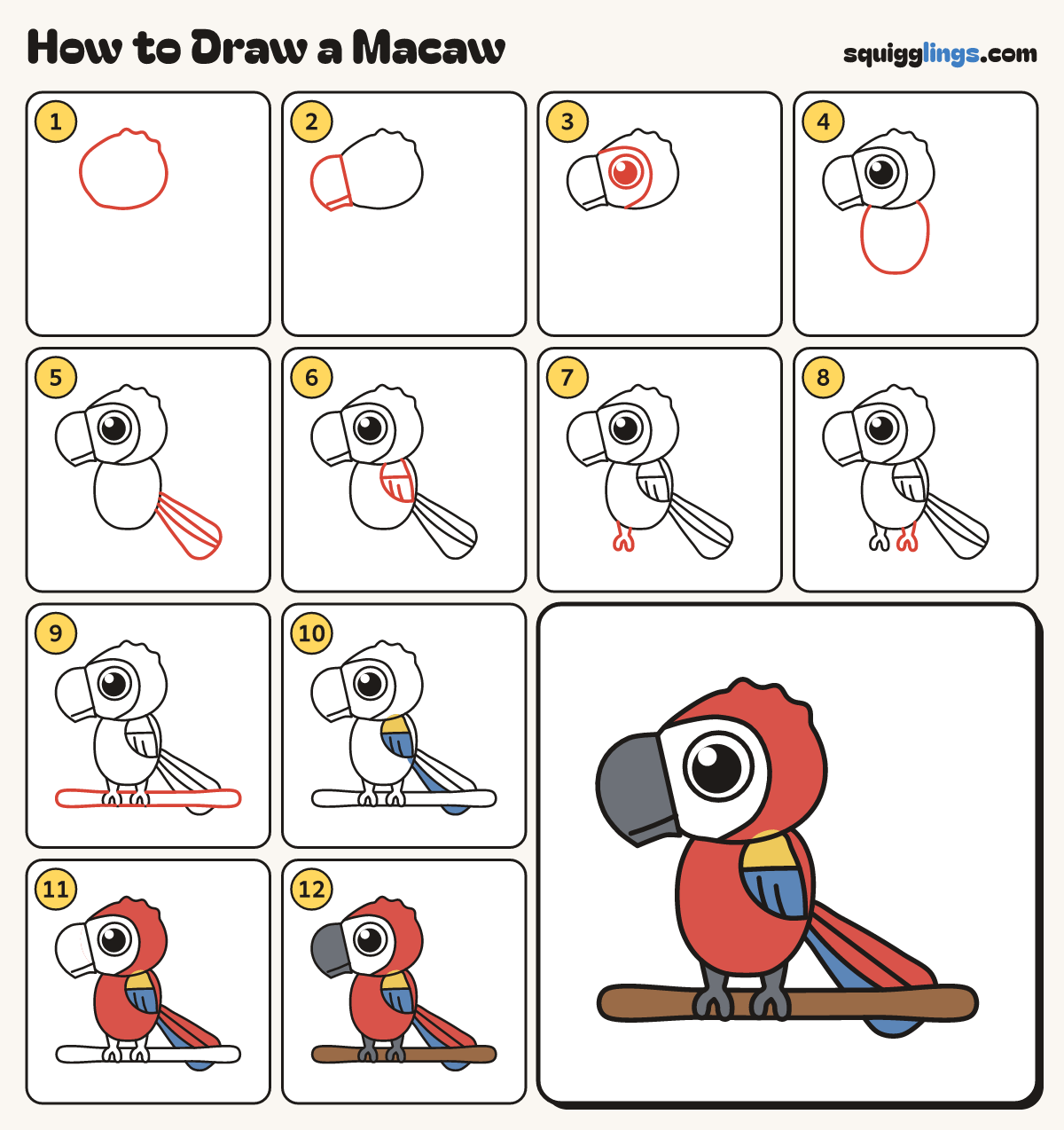 How to Draw a Macaw step by step: all 12 steps in one picture