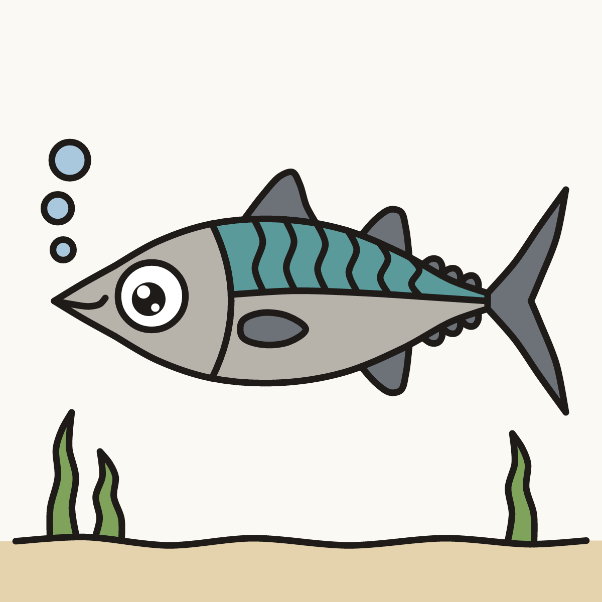 Finished drawing of a mackerel