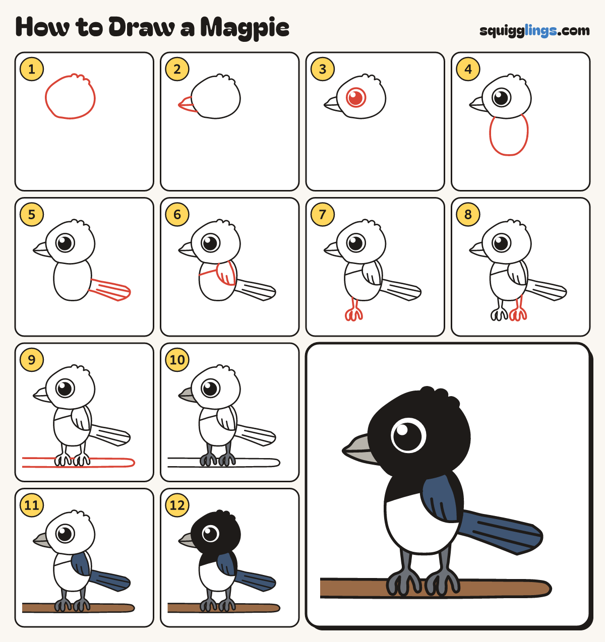 How to Draw a Magpie step by step: all 12 steps in one picture