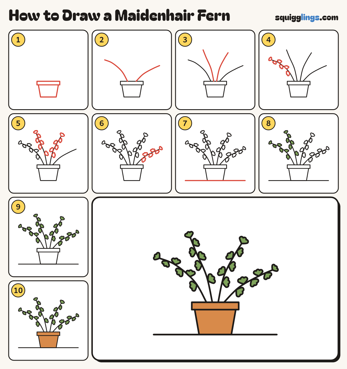 How to Draw a Maidenhair Fern step by step: all 10 steps in one picture