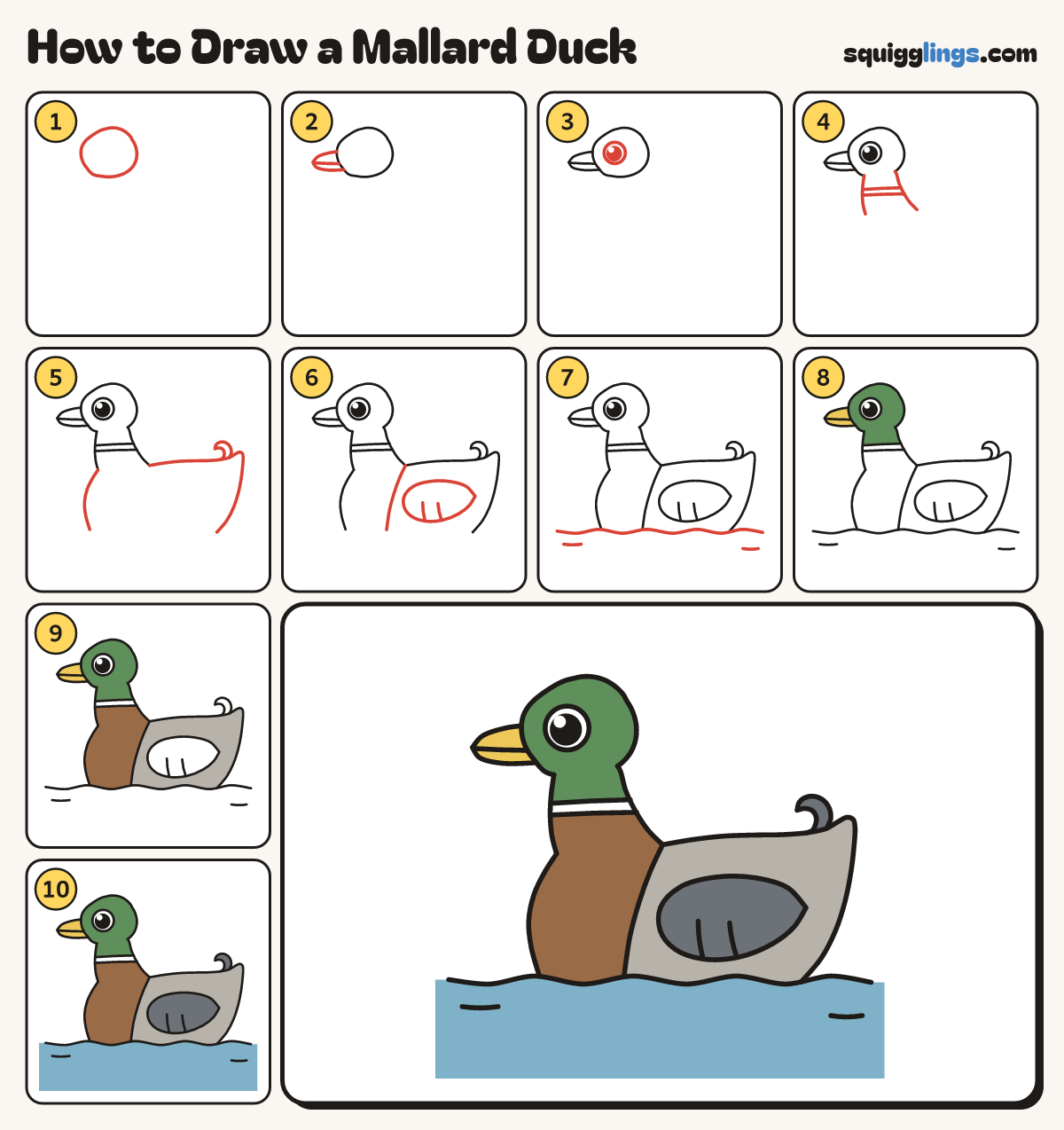 How to Draw a Mallard Duck step by step: all 10 steps in one picture