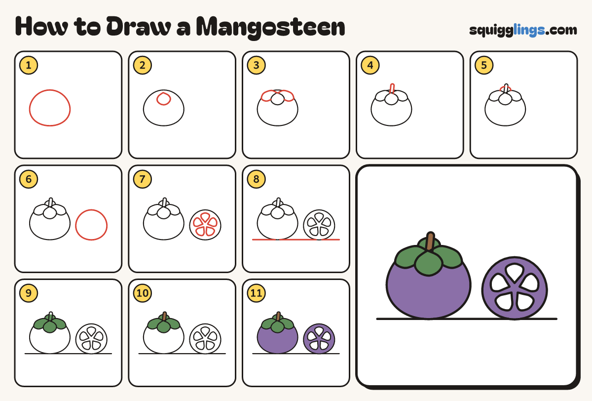 How to Draw a Mangosteen step by step: all 11 steps in one picture