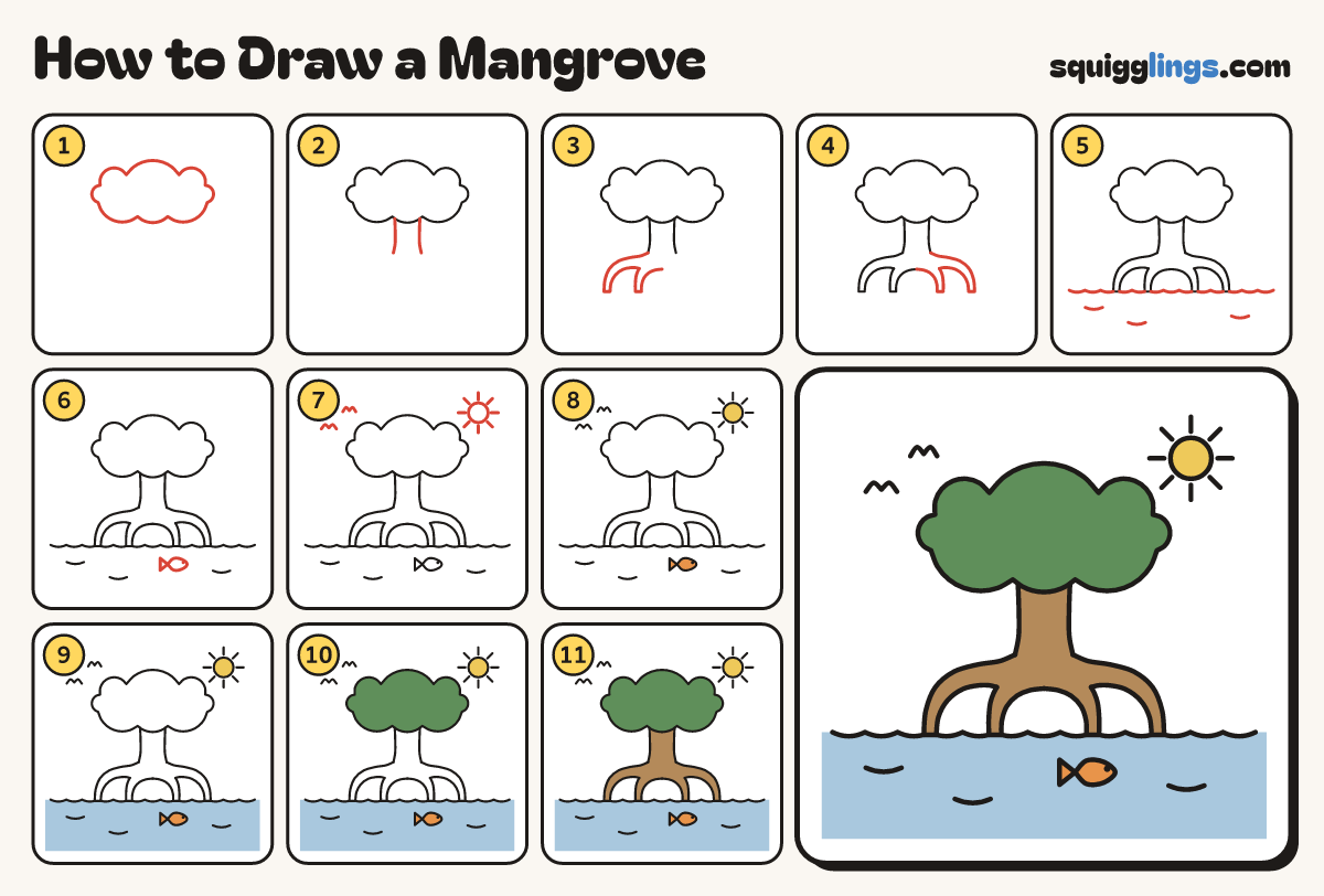 How to Draw a Mangrove step by step: all 11 steps in one picture