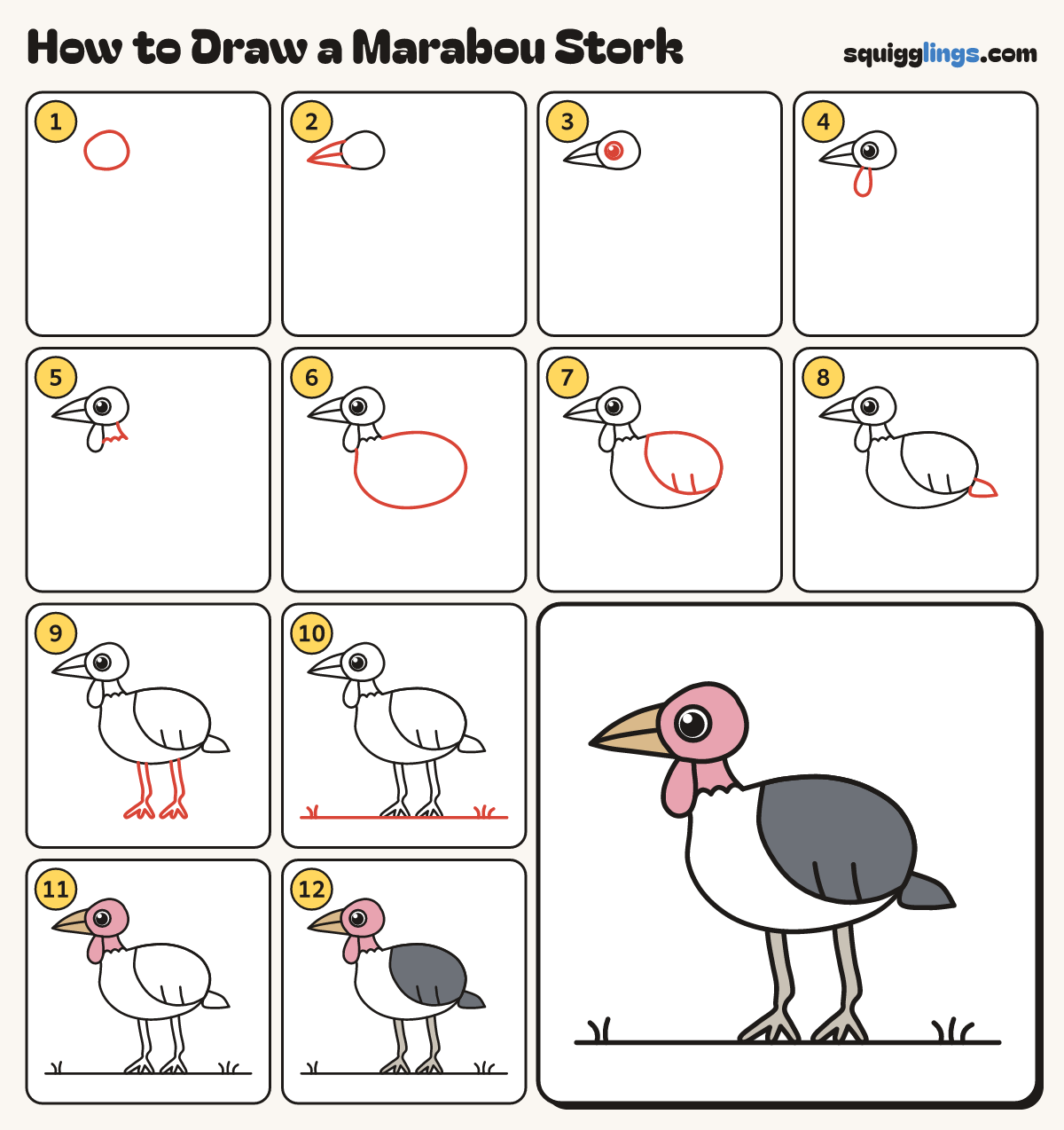 How to Draw a Marabou Stork step by step: all 12 steps in one picture