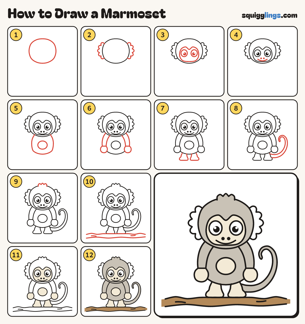 How to Draw a Marmoset step by step: all 12 steps in one picture