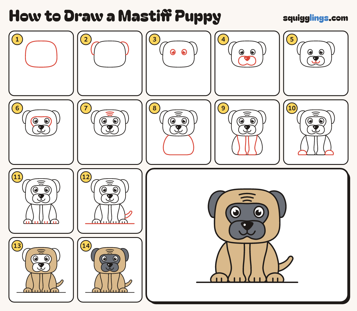How to Draw a Mastiff Puppy step by step: all 14 steps in one picture
