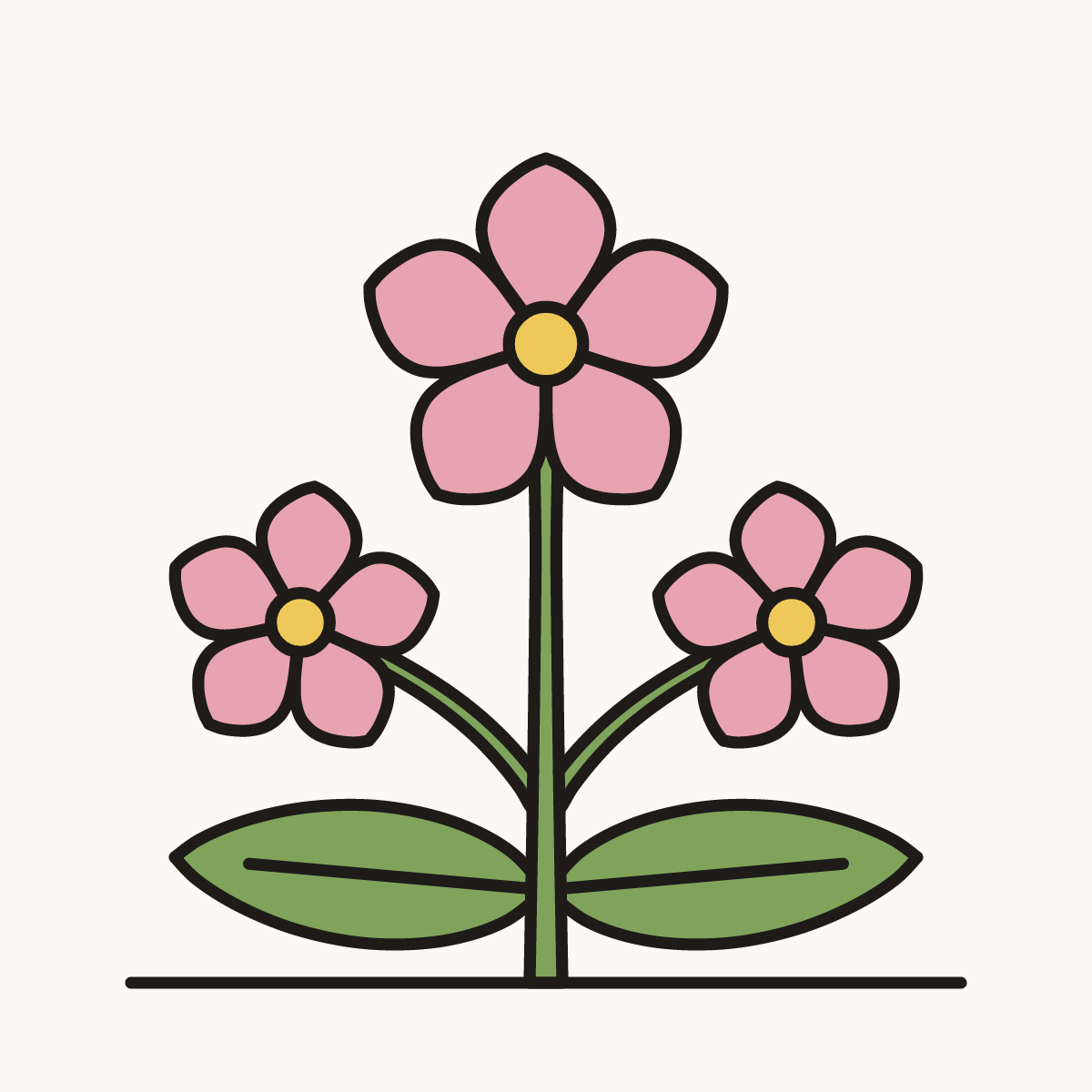 Finished drawing of a mayflower flower