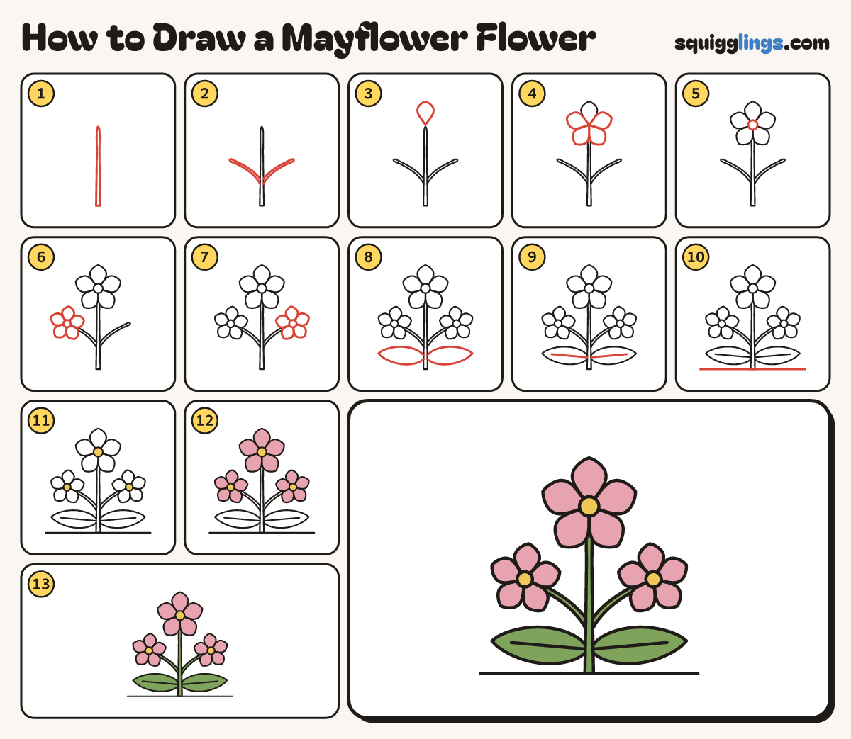 How to Draw a Mayflower Flower step by step: all 13 steps in one picture