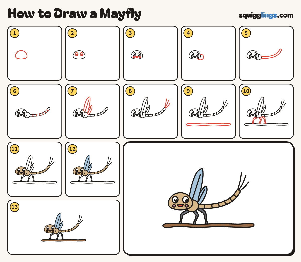 How to Draw a Mayfly step by step: all 13 steps in one picture