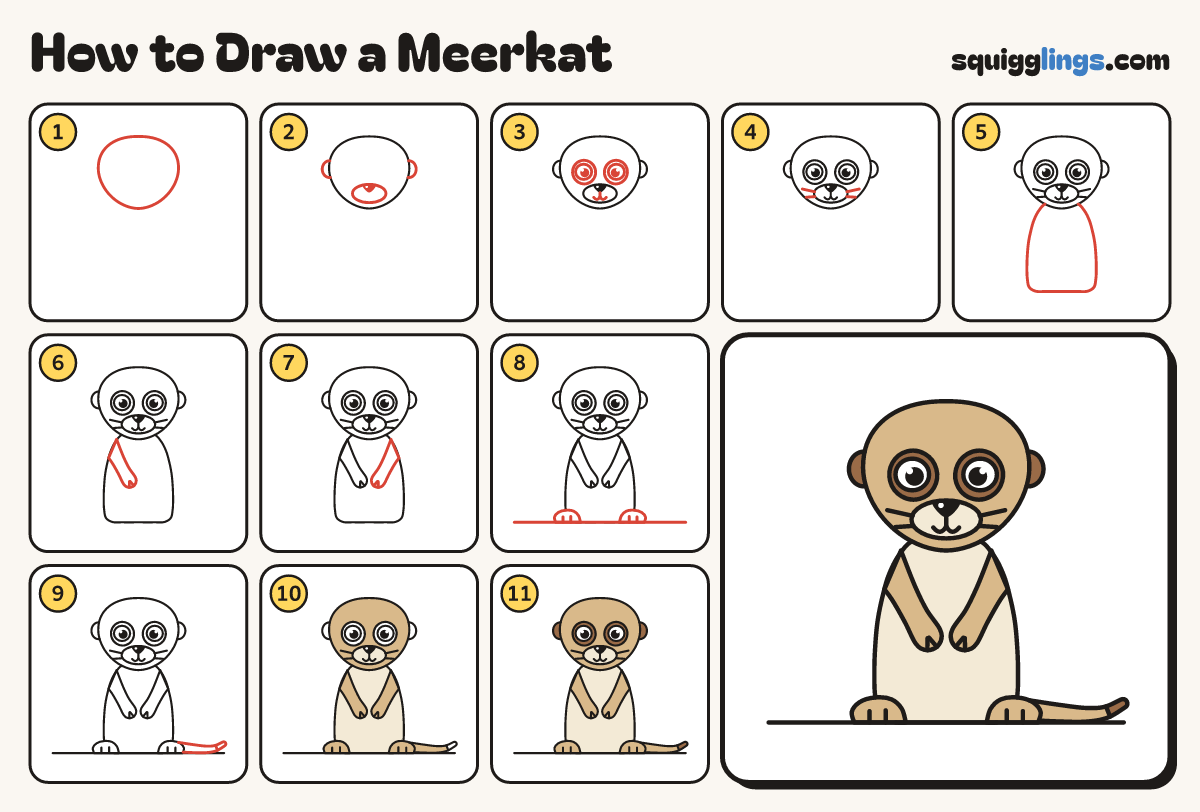 How to Draw a Meerkat step by step: all 11 steps in one picture