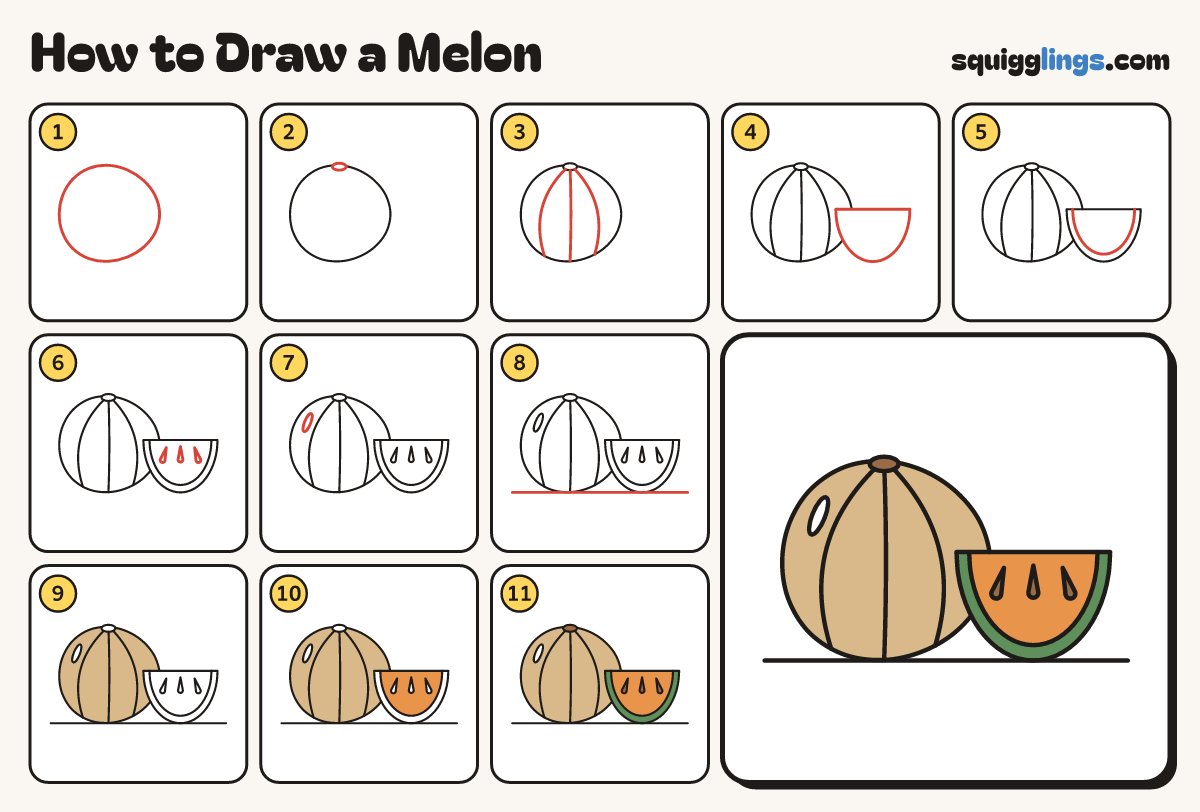 How to Draw a Melon step by step: all 11 steps in one picture