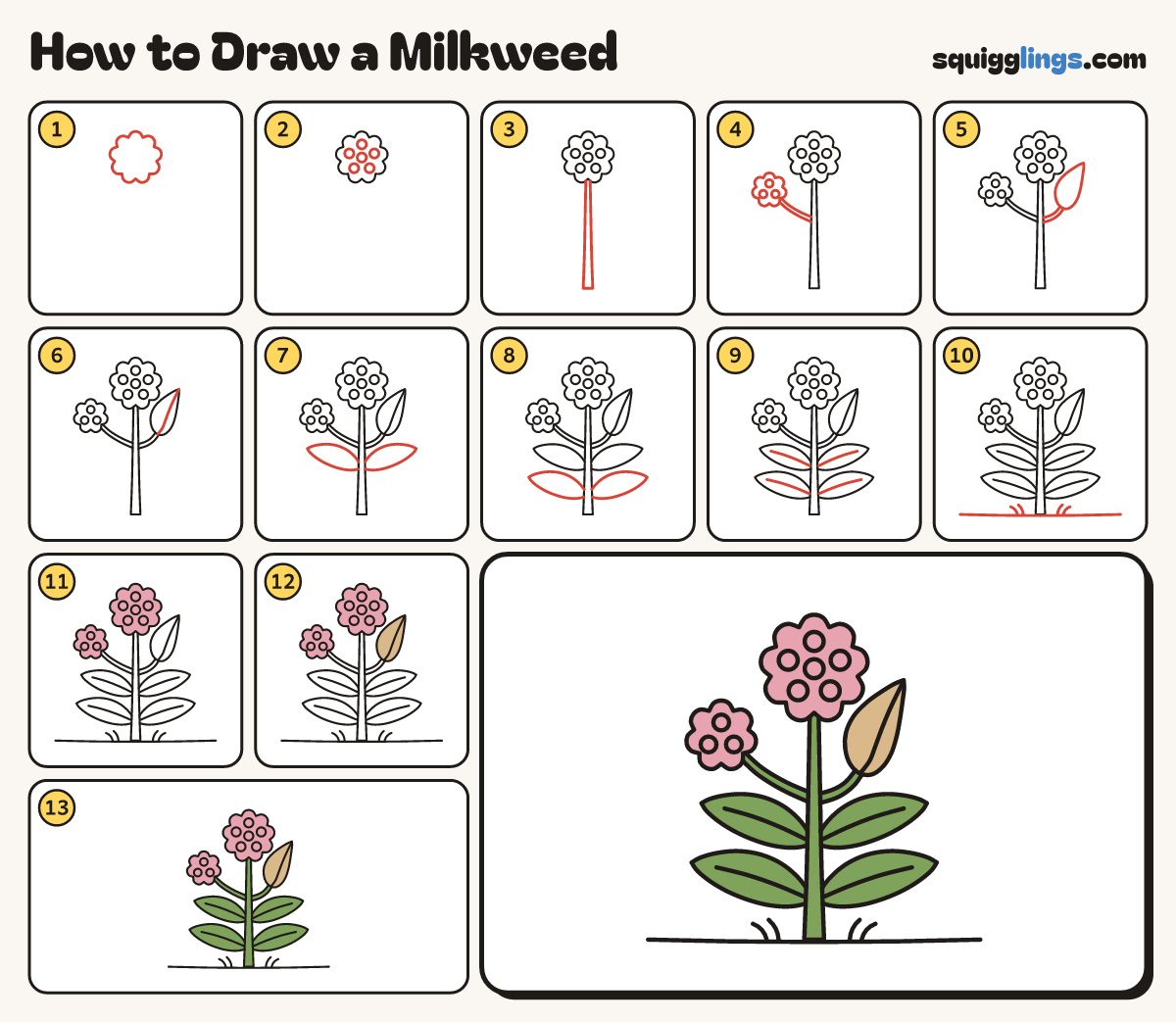 How to Draw a Milkweed step by step: all 13 steps in one picture