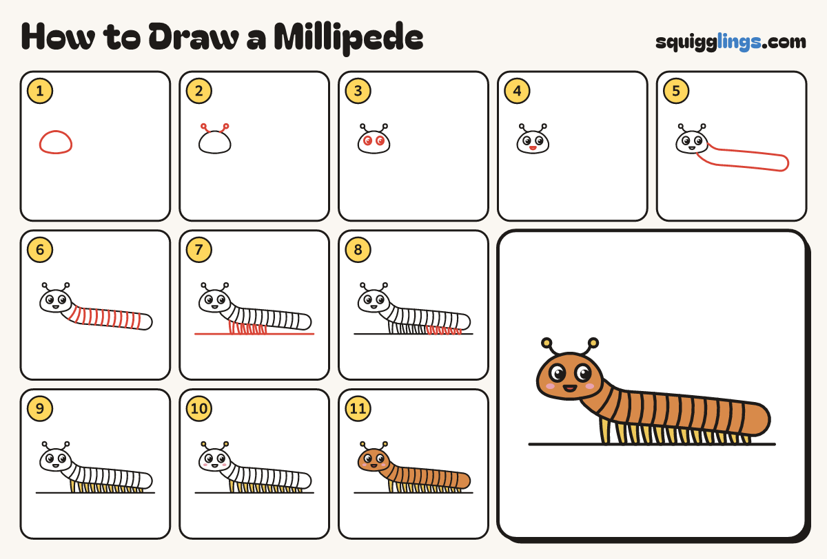 How to Draw a Millipede step by step: all 11 steps in one picture
