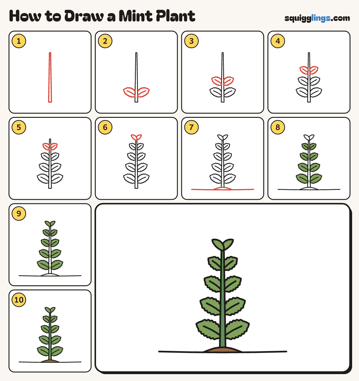 How to Draw a Mint Plant step by step: all 10 steps in one picture