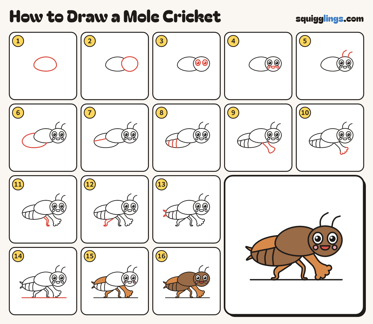 How to Draw a Mole Cricket step by step: all 16 steps in one picture