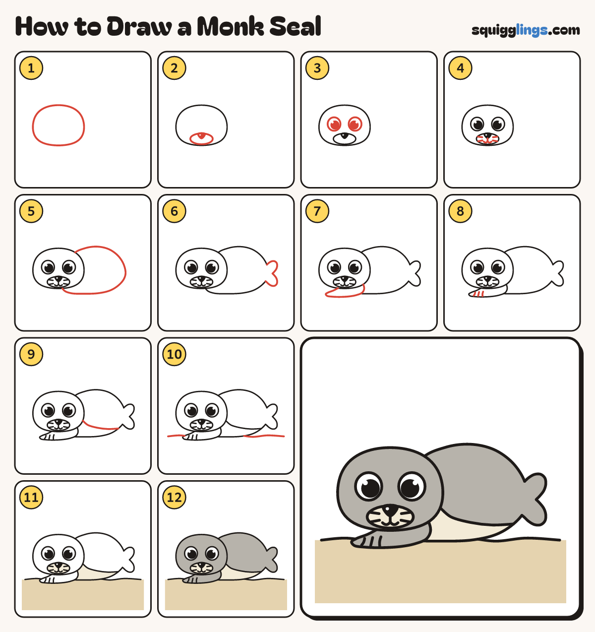 How to Draw a Monk Seal step by step: all 12 steps in one picture