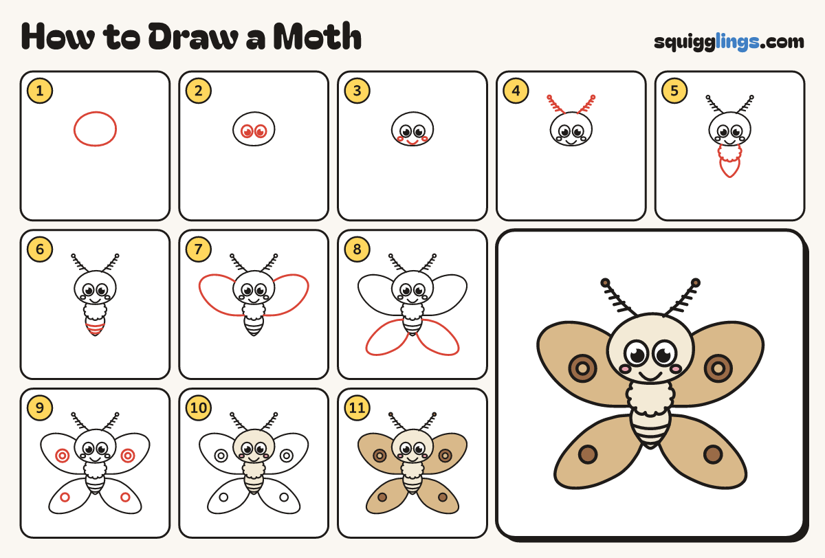 How to Draw a Moth step by step: all 11 steps in one picture