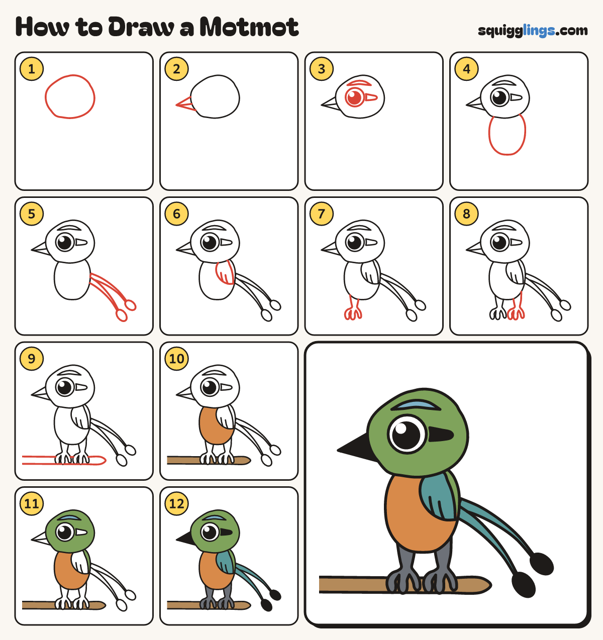 How to Draw a Motmot step by step: all 12 steps in one picture