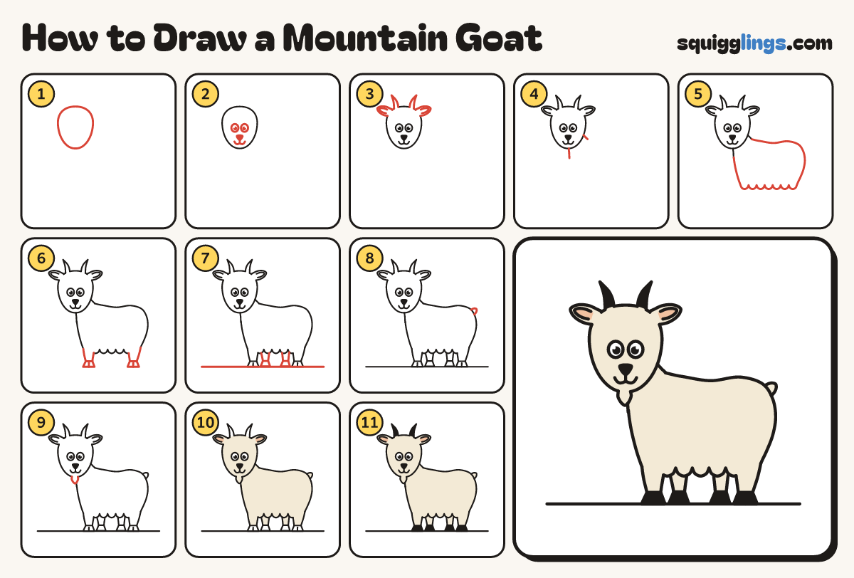 How to Draw a Mountain Goat step by step: all 11 steps in one picture