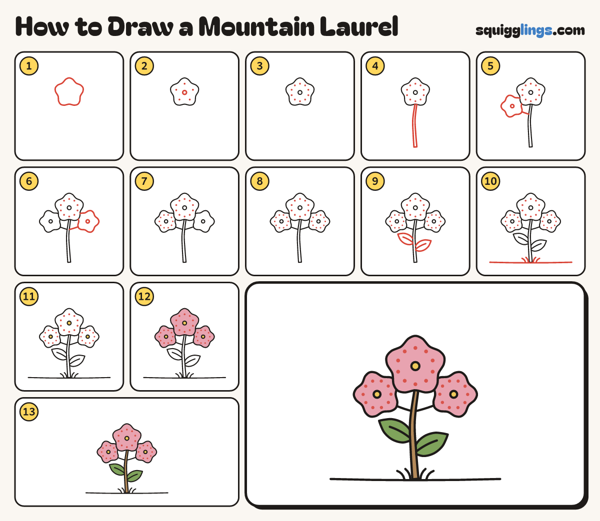 How to Draw a Mountain Laurel step by step: all 13 steps in one picture