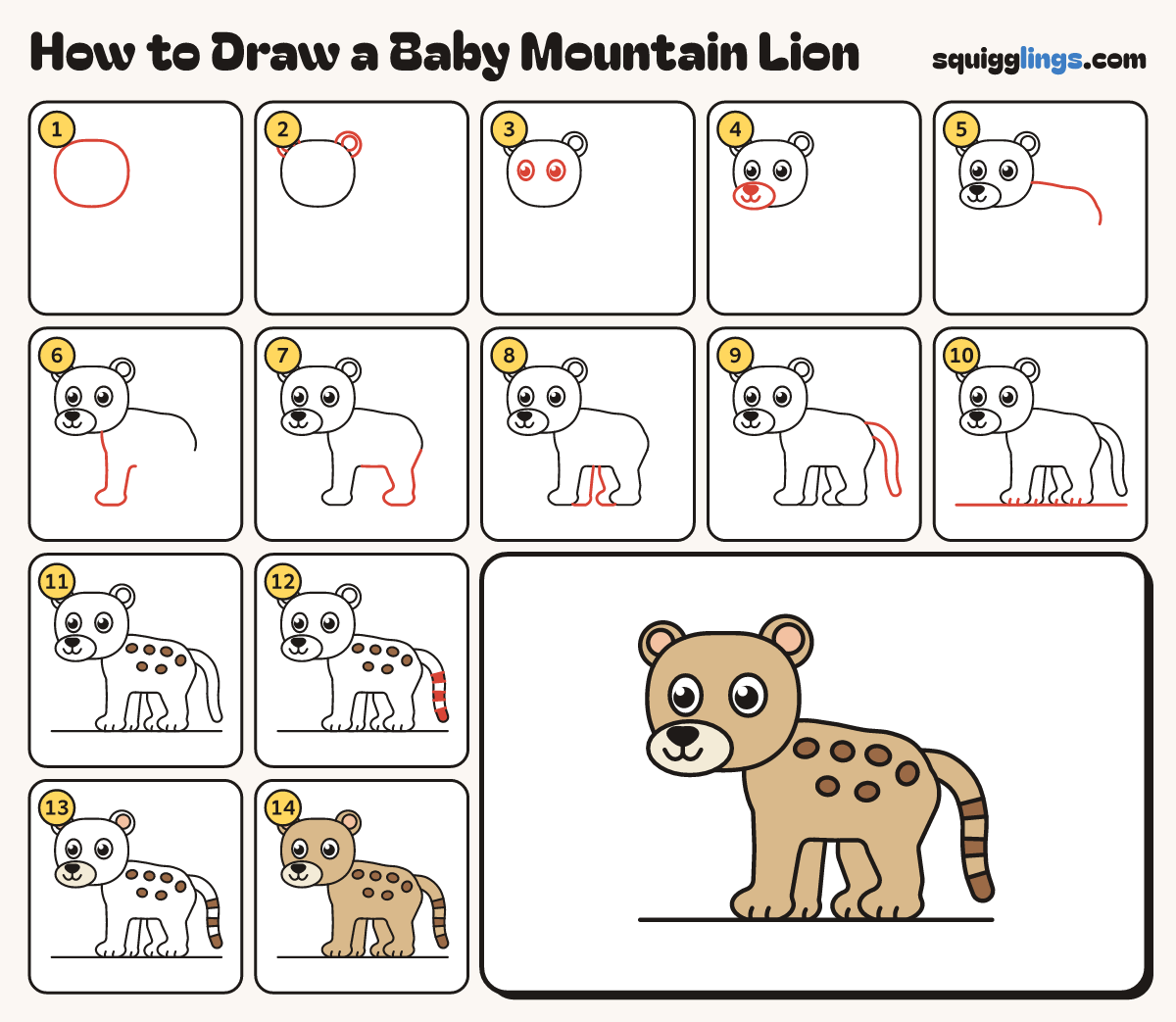 How to Draw a Baby Mountain Lion step by step: all 14 steps in one picture
