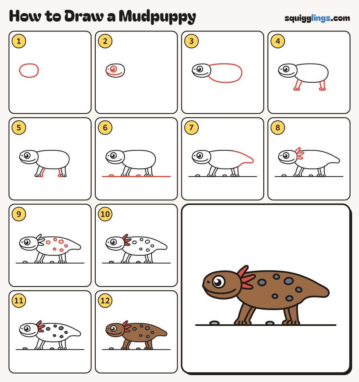 How to Draw a Mudpuppy step by step: all 12 steps in one picture