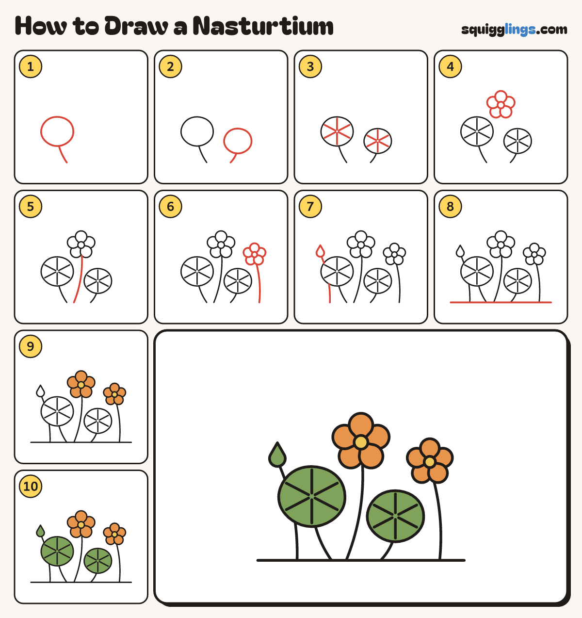 How to Draw a Nasturtium step by step: all 10 steps in one picture