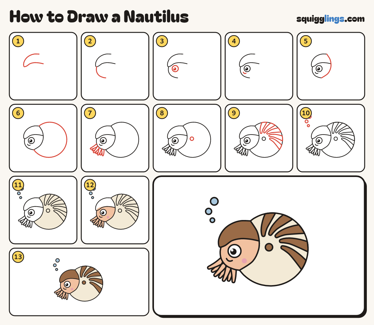 How to Draw a Nautilus step by step: all 13 steps in one picture